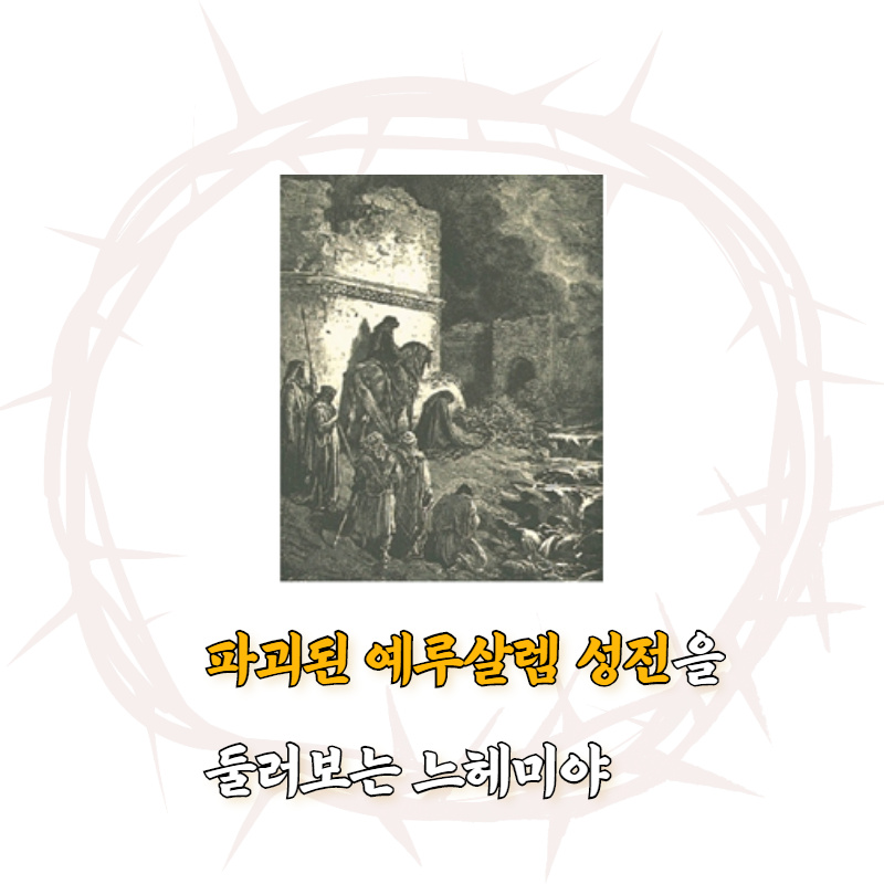 카드뉴스6