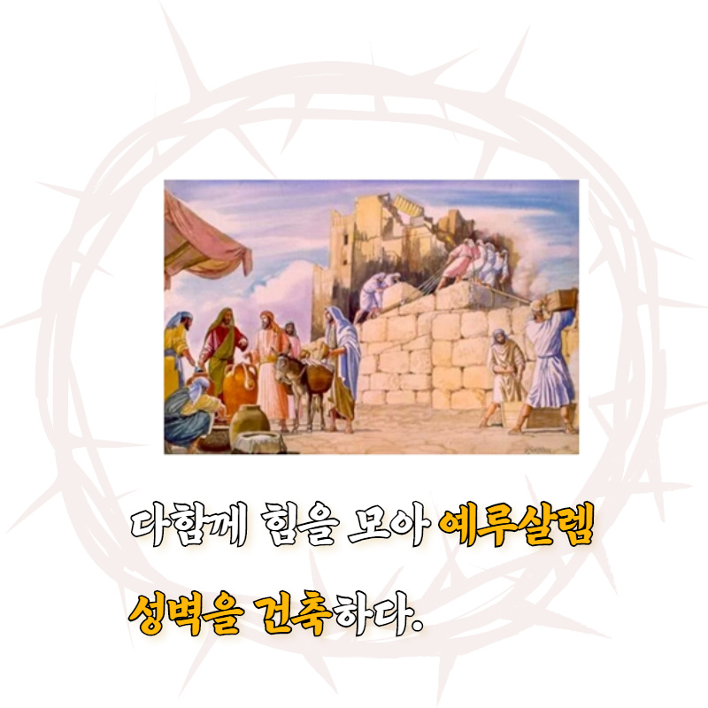 카드뉴스7