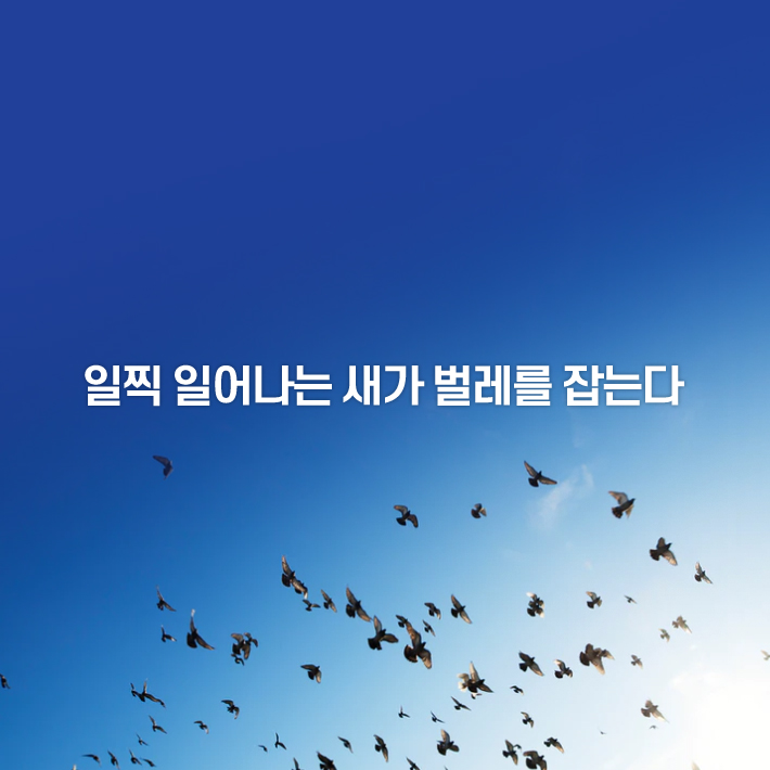 애니멀랜드 이미지