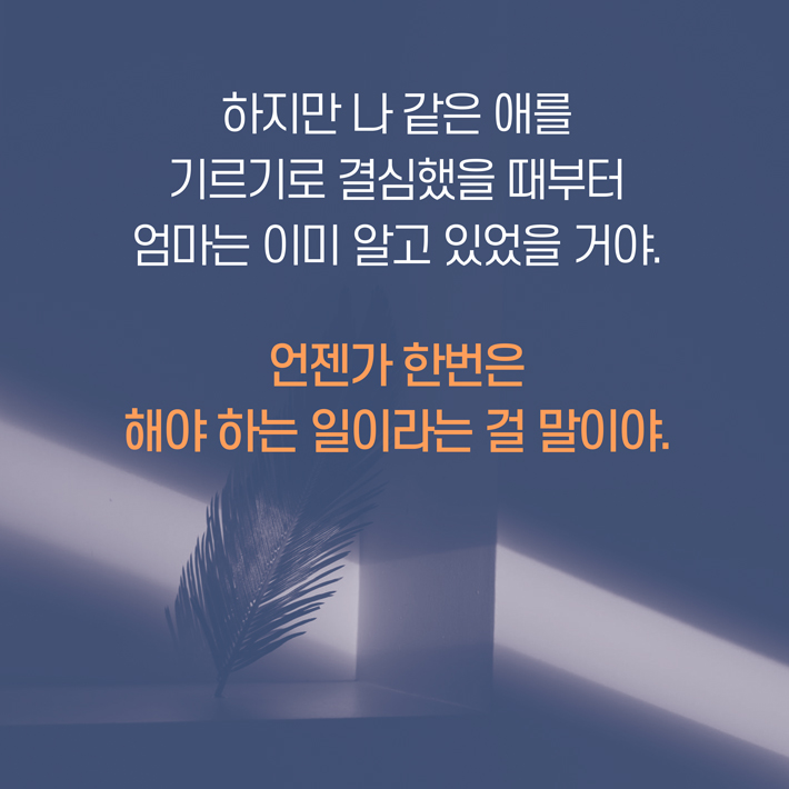 카드뉴스2