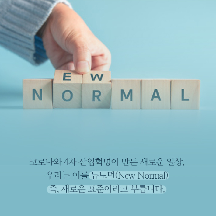 카드뉴스6