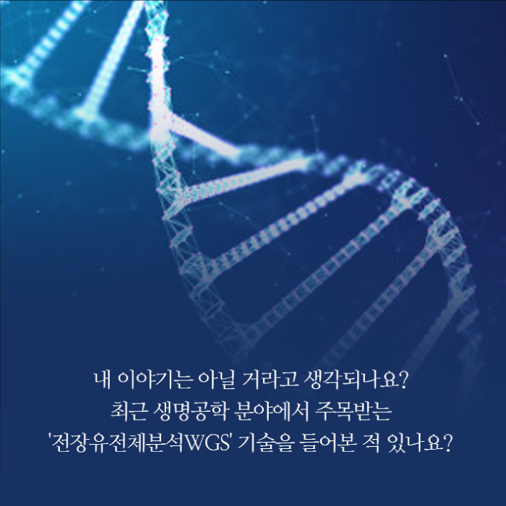 카드뉴스12