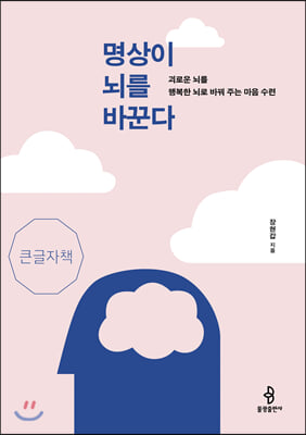 명상이 뇌를 바꾼다 (큰글자책)