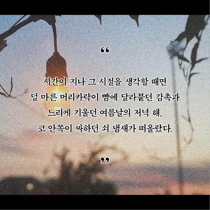 카드뉴스5