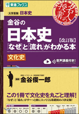 金谷の日本史「なぜ」と「流 文化史 改訂 改訂版