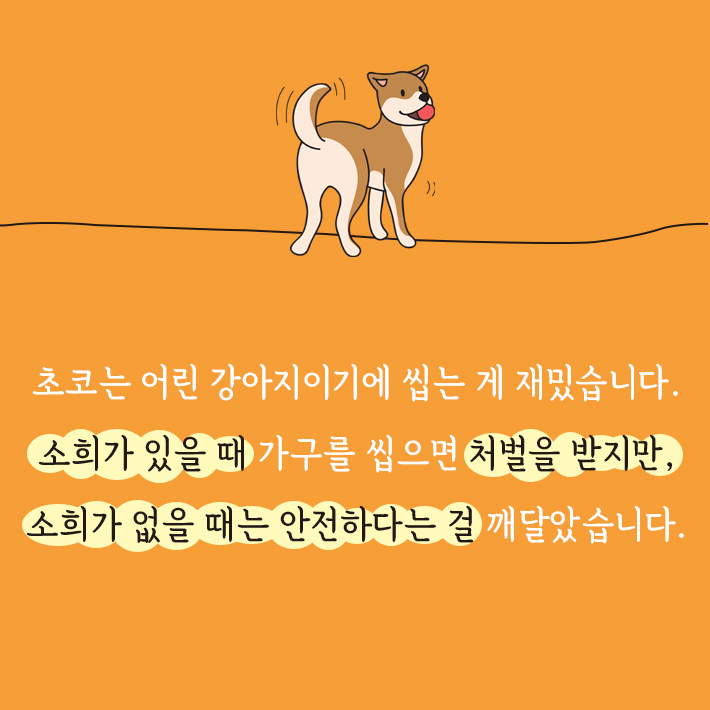 카드뉴스