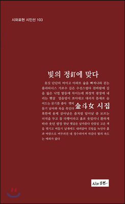 빛의 정에 맞다(시와표현 시인선 103)