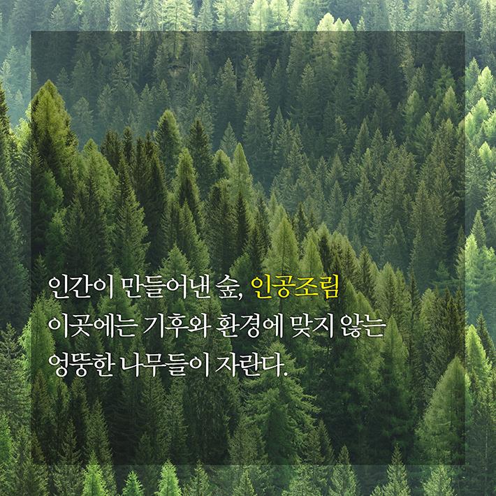 카드뉴스1
