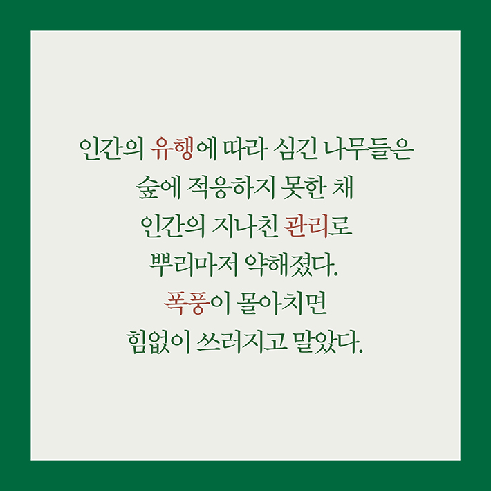 카드뉴스2