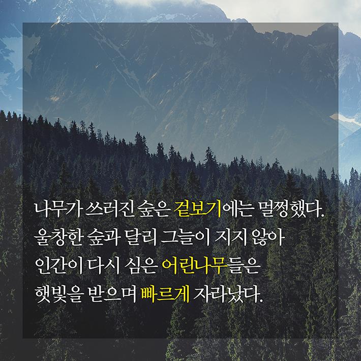 카드뉴스4