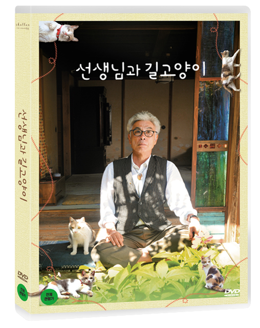 선생님과 길고양이 (1Disc)