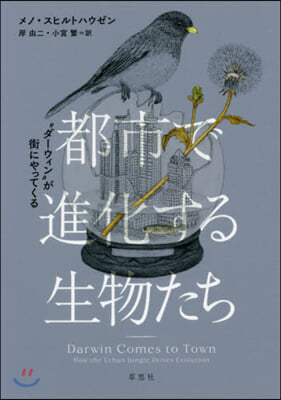 都市で進化する生物たち “ダ-ウィン”が