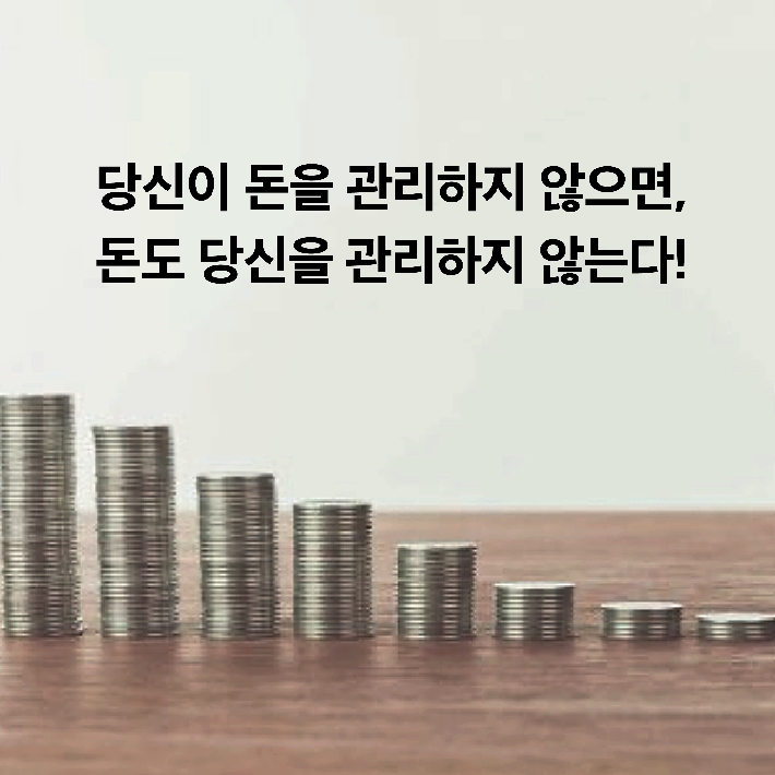 카드뉴스8
