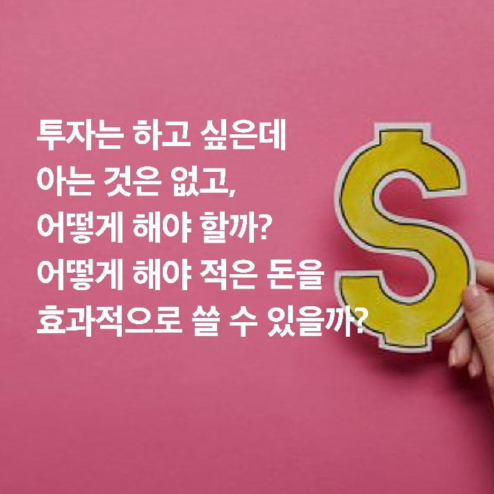카드뉴스11