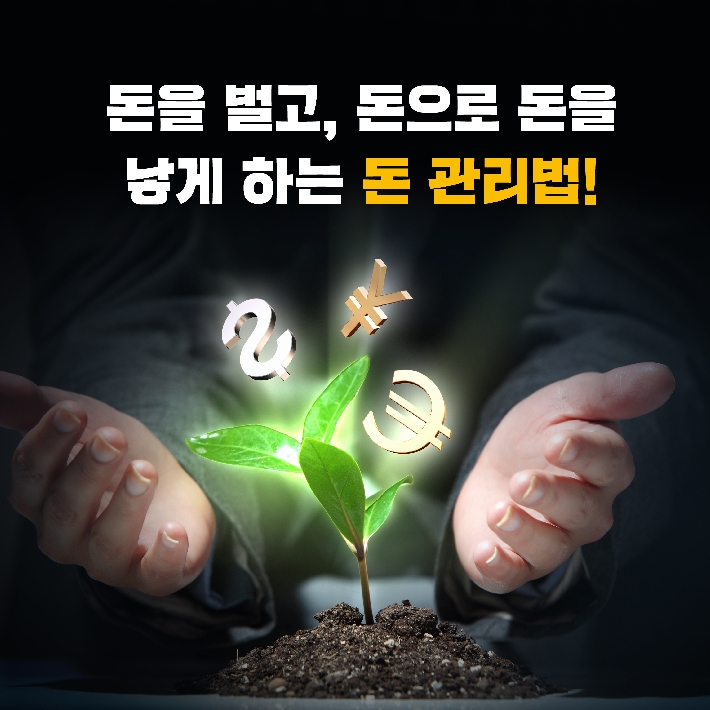 카드뉴스14