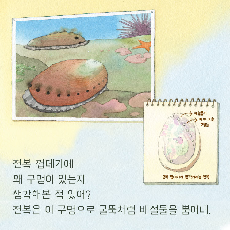 카드뉴스6