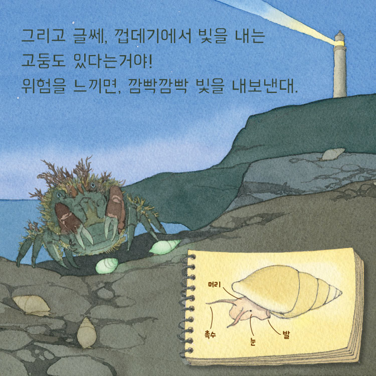 카드뉴스7