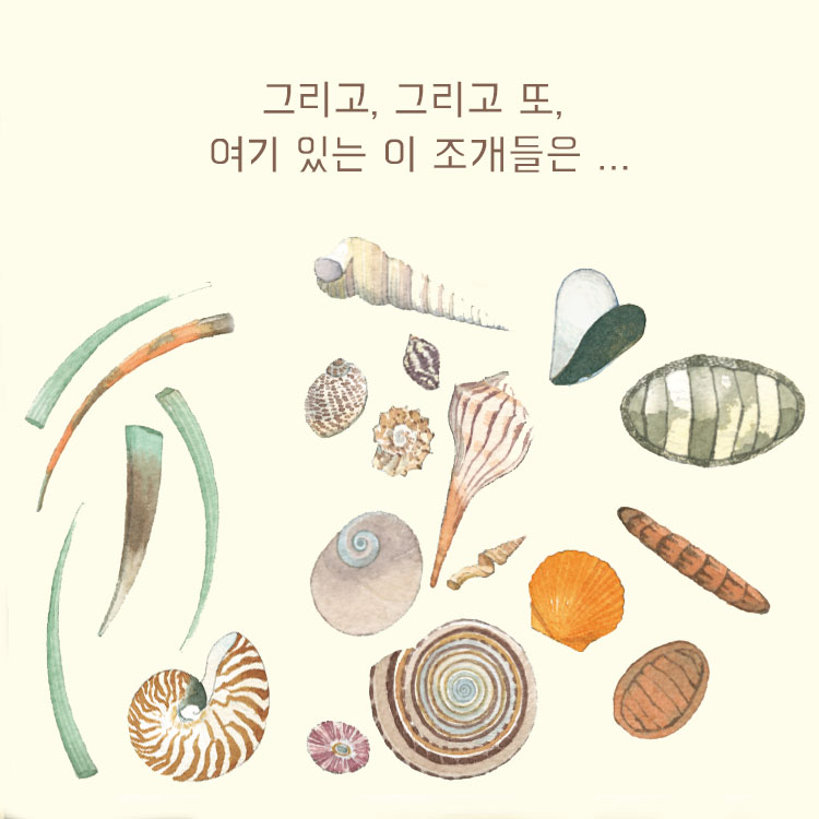 카드뉴스8