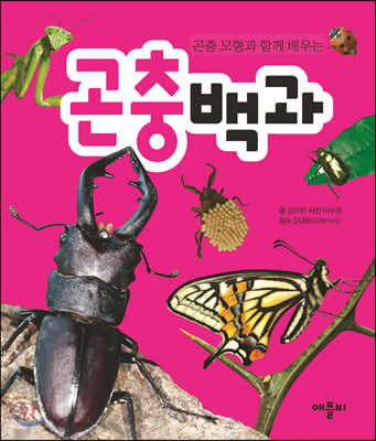 곤충백과(곤충 모형과 함께 배우는)(양장본 HardCover)