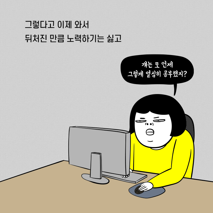 카드뉴스