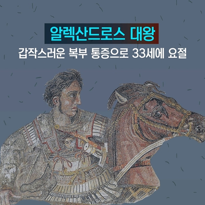 카드뉴스4