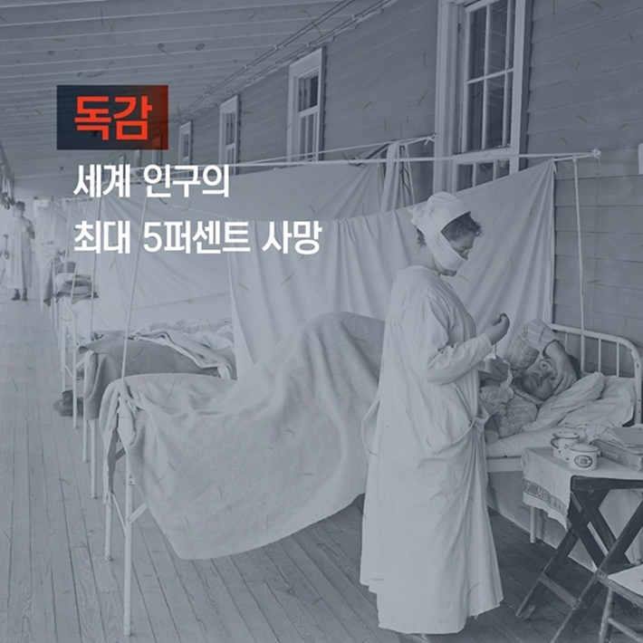 카드뉴스5