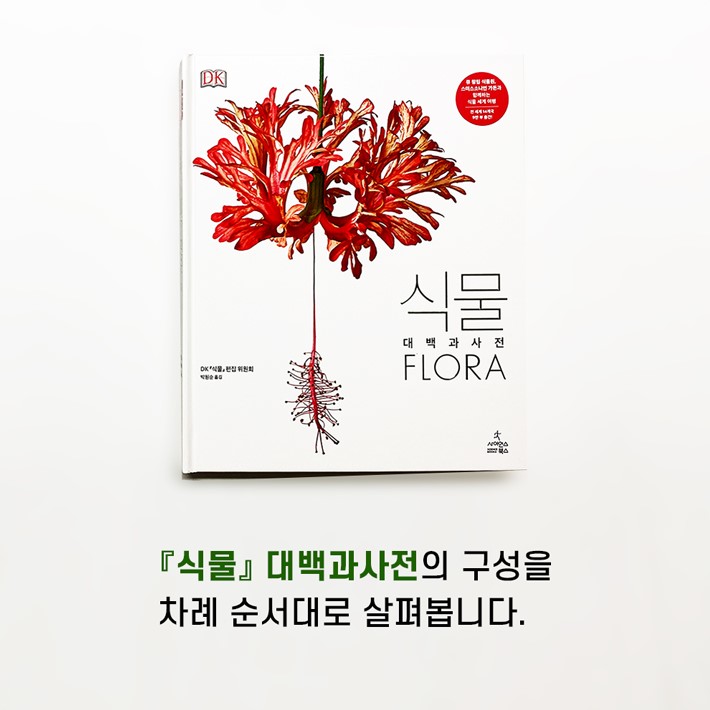 카드뉴스1