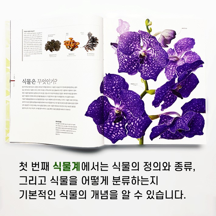 카드뉴스2
