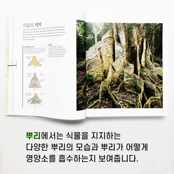 카드뉴스3