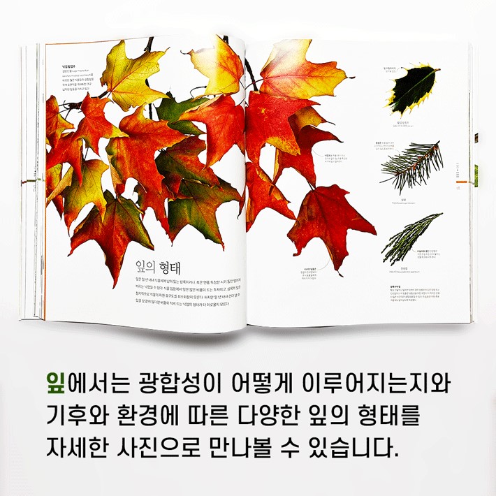 카드뉴스5