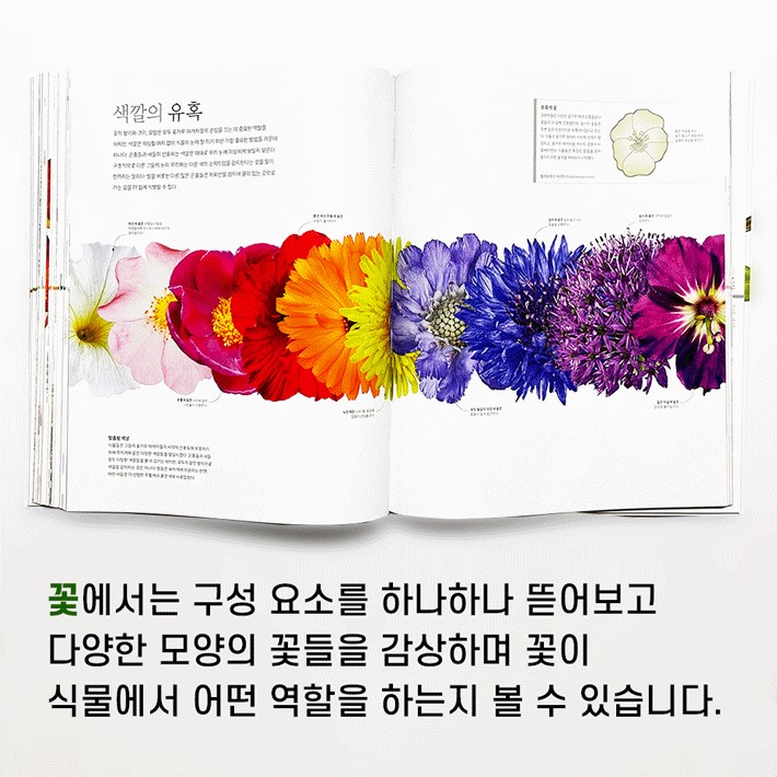 카드뉴스6
