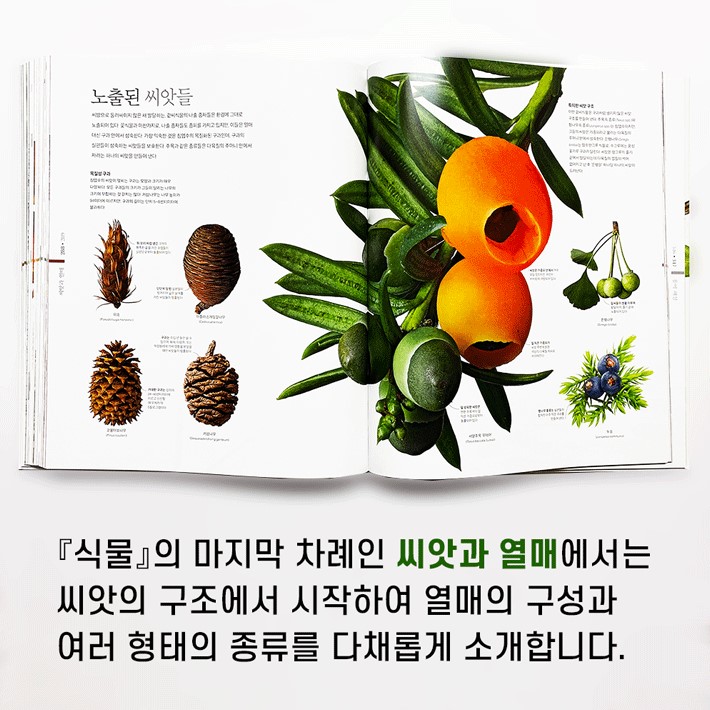 카드뉴스7