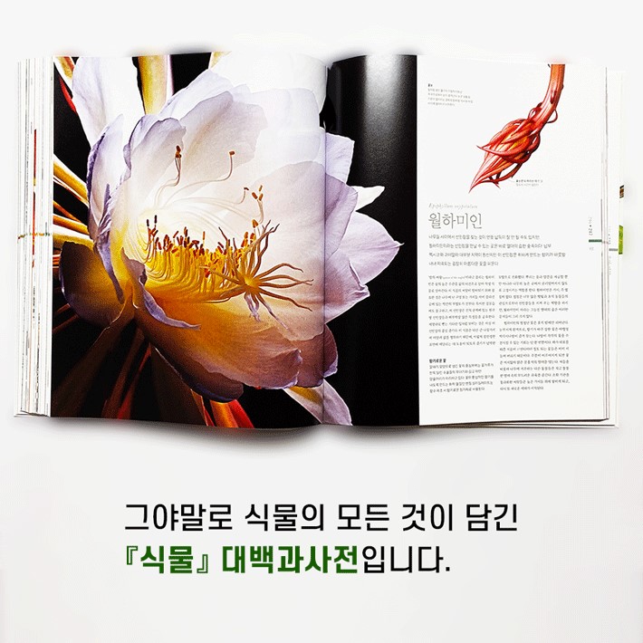 카드뉴스8
