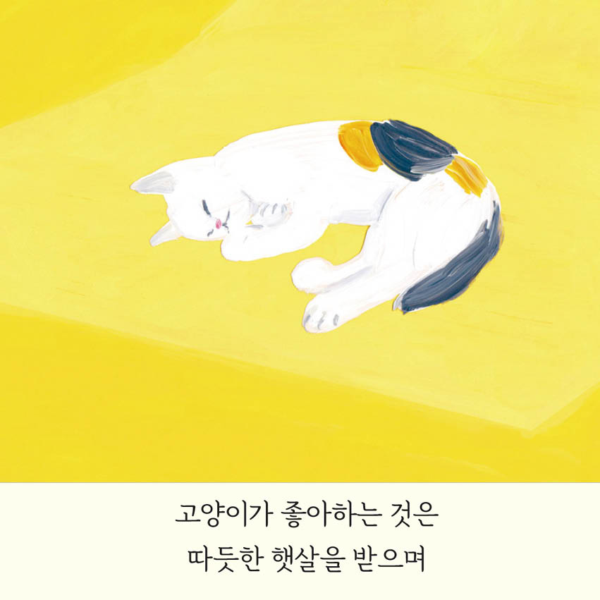 카드뉴스2