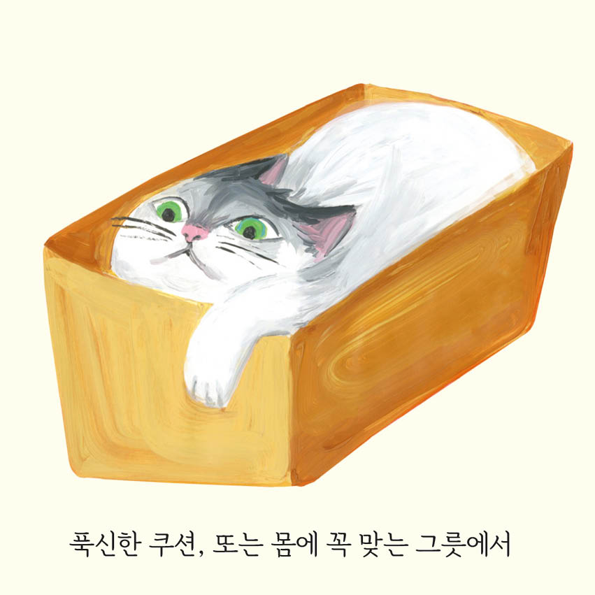 카드뉴스3