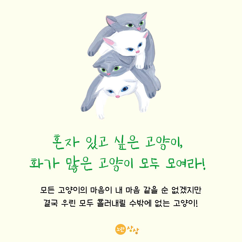 카드뉴스6
