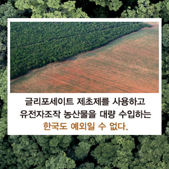 카드뉴스10