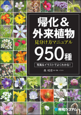 歸化&amp;外來植物見分け方マニュアル950種