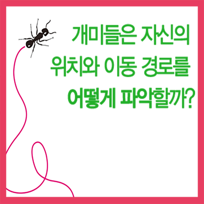 카드뉴스1