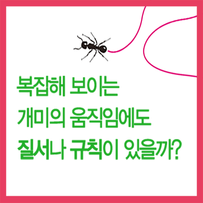 카드뉴스2