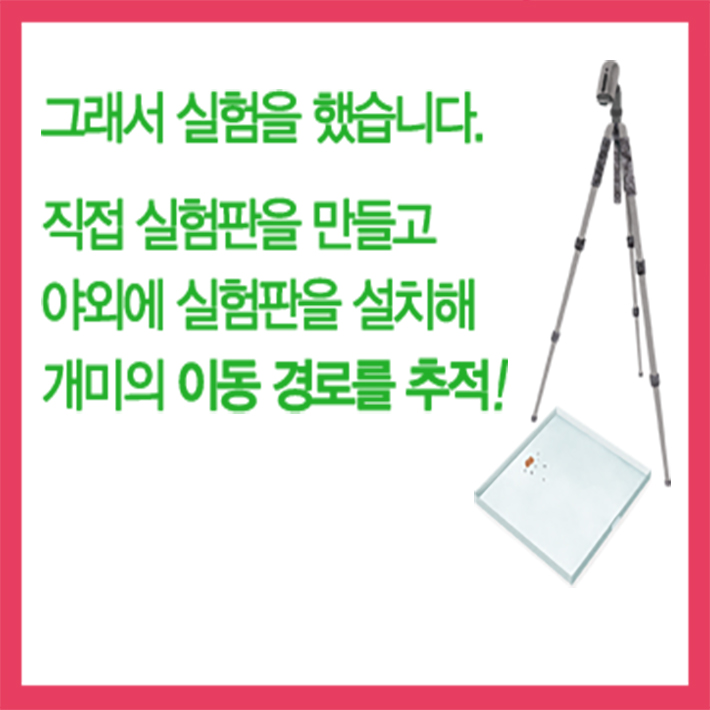 카드뉴스3