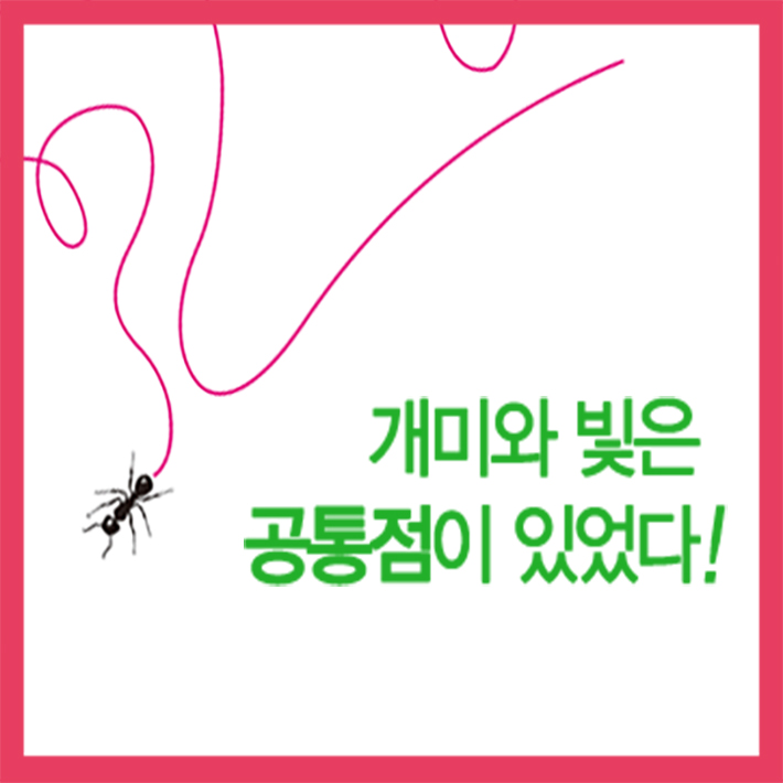 카드뉴스5
