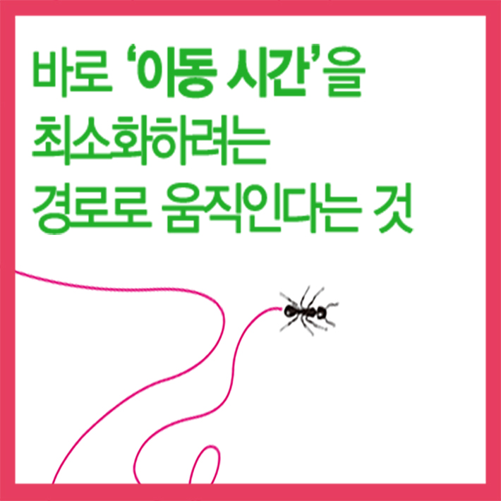 카드뉴스6