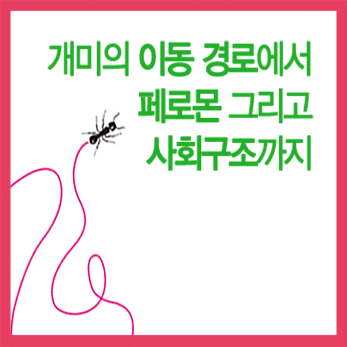 카드뉴스9
