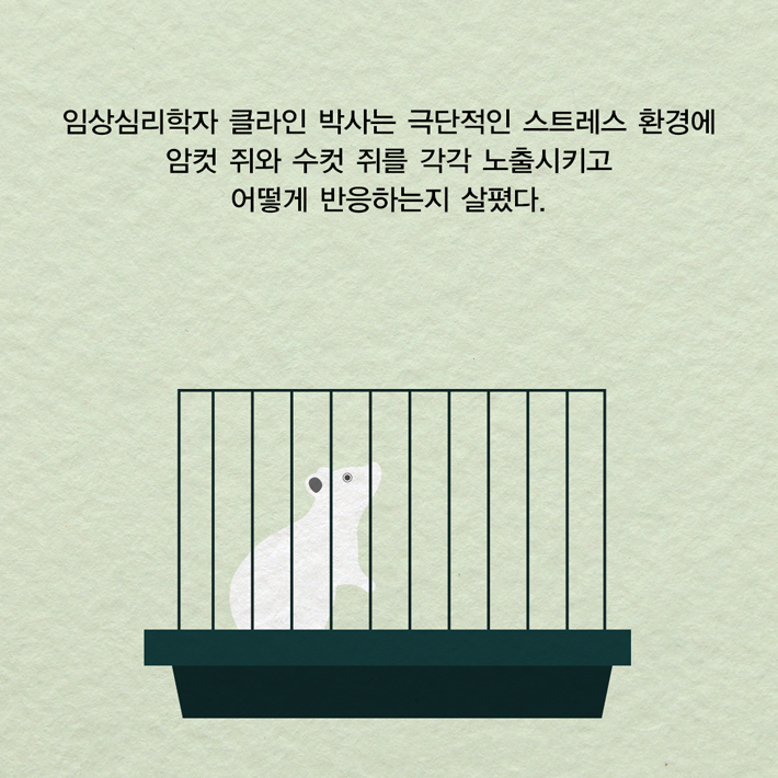 카드뉴스10