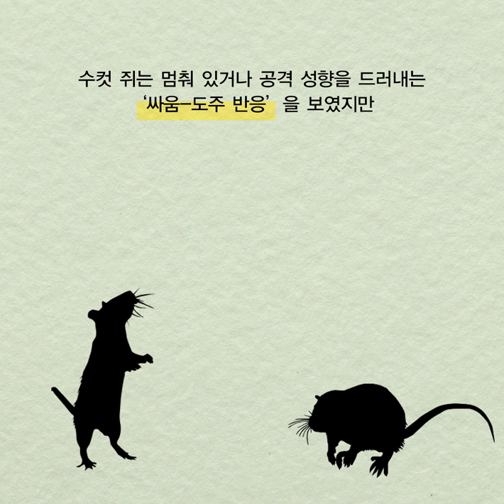 카드뉴스11
