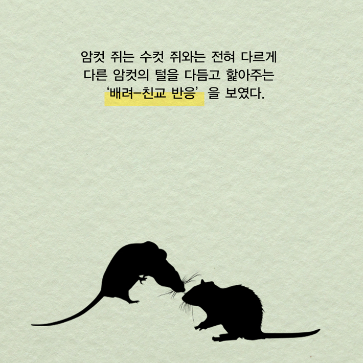 카드뉴스12