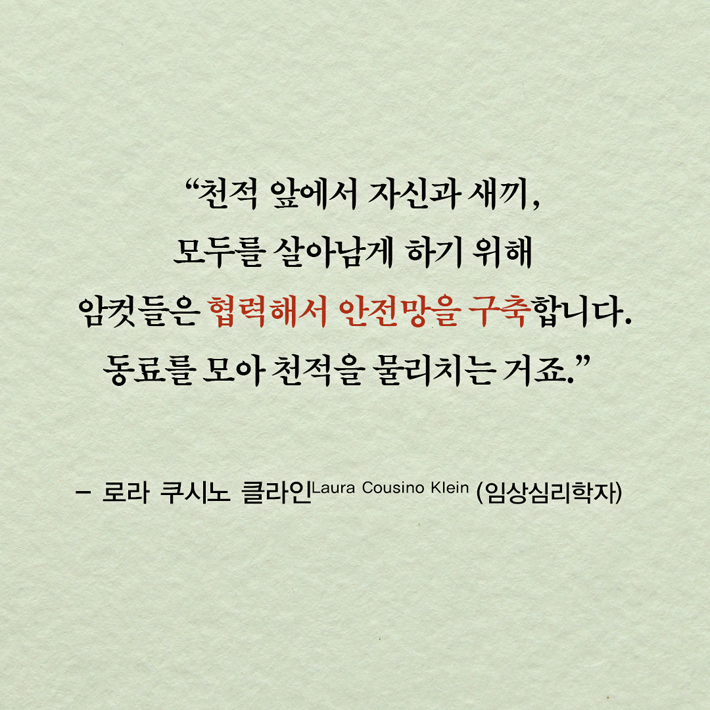 카드뉴스13