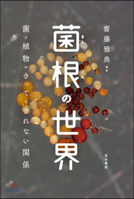 菌根の世界 菌と植物のきってもきれない關