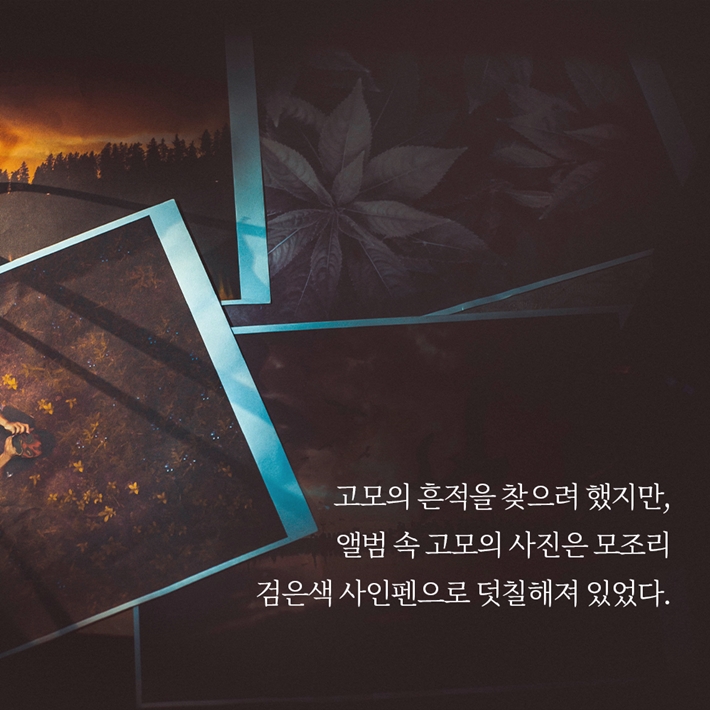 카드뉴스5